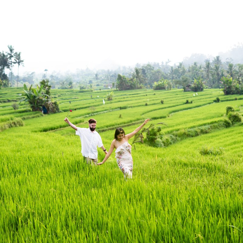 the kubu bali view enjoy rice fields